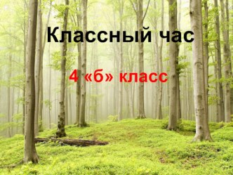 Классный час в 4 классе на тему Берегите лес