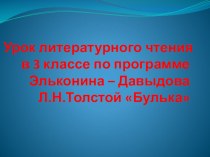 Презентация к уроку литературного чтения, по программе Эльконина-Давыдова Л.Н.Толстой Булька