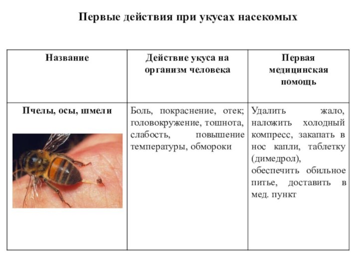 Первые действия при укусах насекомых