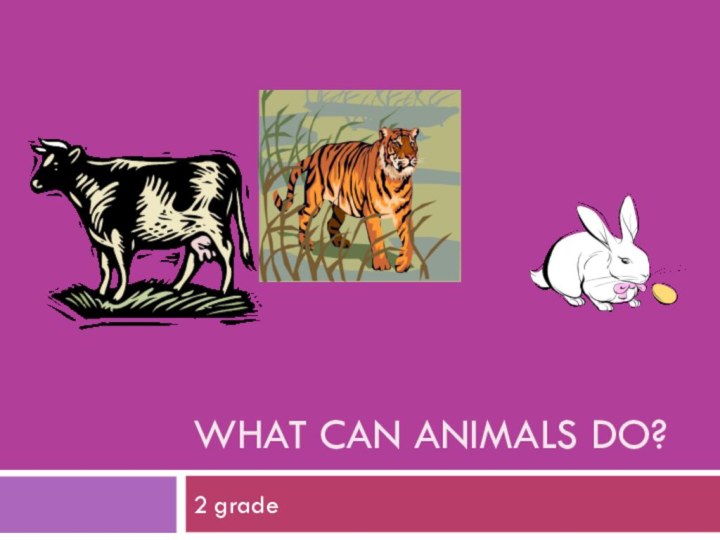 What can animals do?2 grade