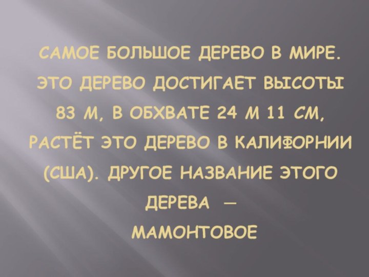 Самое большое дерево в мире. Это дерево достигает высоты 83