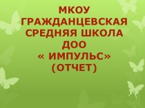 Итоговый отчет деятельности детскойорганизации ИМПУЛЬС