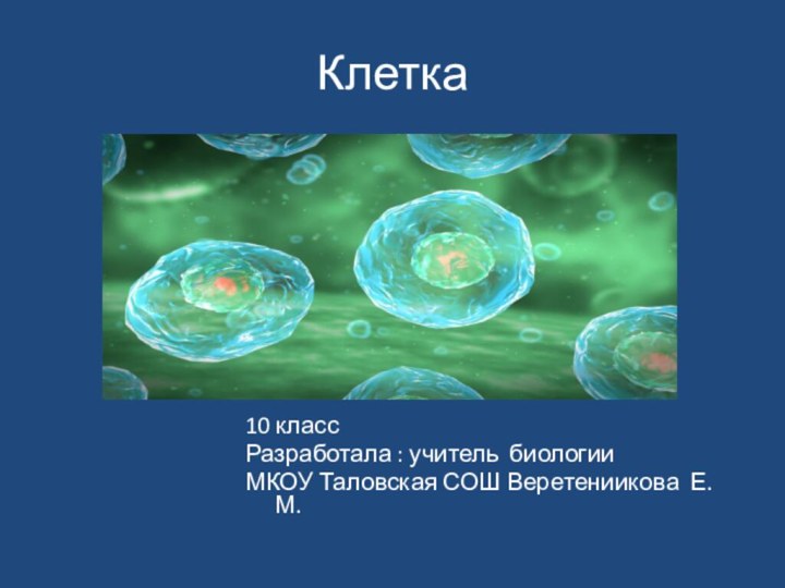 Клетка10 классРазработала : учитель биологииМКОУ Таловская СОШ Веретениикова Е.М.