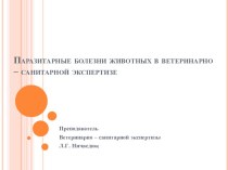 Инвазионные болезни животных, но не передающиеся человеку через продукты убоя.