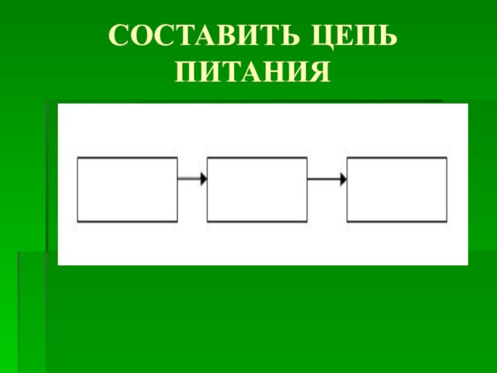 СОСТАВИТЬ ЦЕПЬ ПИТАНИЯ