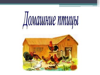 Презентация к уроку: Содержание домашней птицы в домашних условиях