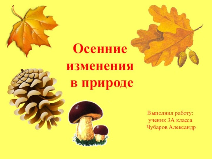 Осенние изменения в природеВыполнил работу: ученик 3А класса Чубаров Александр