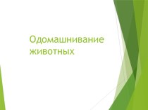 Презентация по Введению в профессию на тему: Одомашнивание животных.