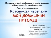 Красноухая черепаха-мой домашний питомец Проект- исследование.Презентация.