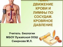 Презентация к уроку Движение крови и лимфы в организме