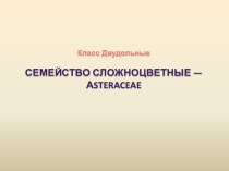 Презентация по биологии на тему Семейство Сложноцветные, травянистые растения