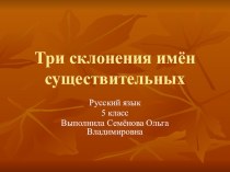 Презентация по русскому языку на тему: Три склонения имён существительных (5 класс).