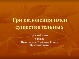 Презентация по русскому языку на тему: Три склонения имён существительных (5 класс).
