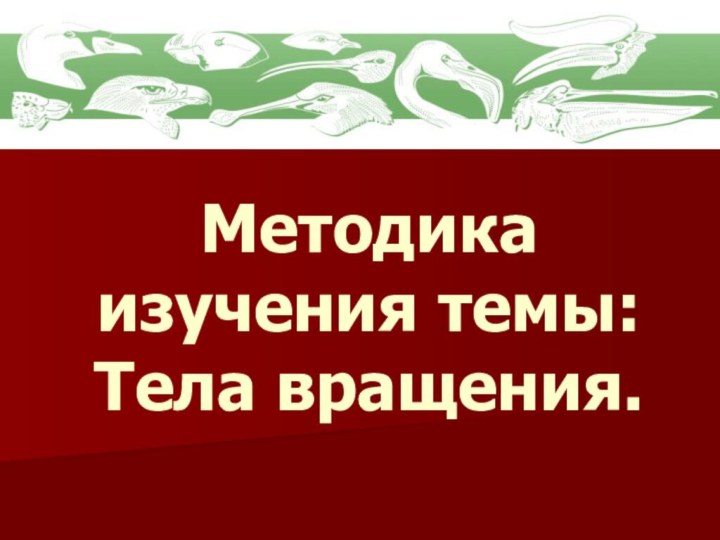 Методика изучения темы: Тела вращения.