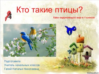 Презентация по окружающему миру на тему Кто такие птицы? ( 1класс)