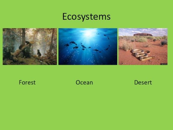 EcosystemsForestOceanDesert