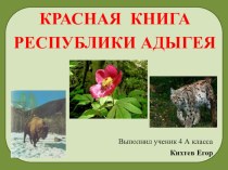 Презентация Проект учащихся по теме:Красная книга республики Адыгея