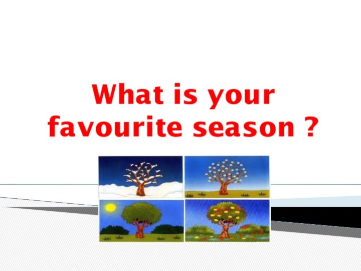 What is your favourite season ?