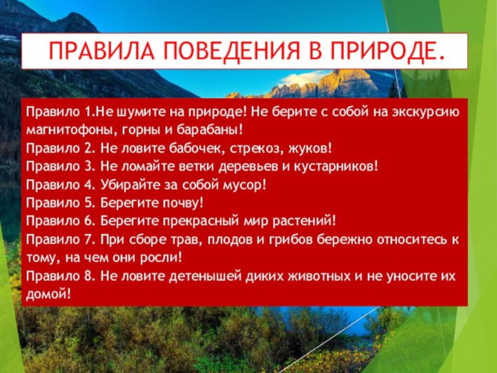 ПРАВИЛА ПОВЕДЕНИЯ В ПРИРОДЕ.Правило 1.Не шумите на природе! Не берите