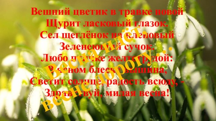 Вешний цветик в травке новой Щурит ласковый глазок. Сел щеглёнок на кленовый