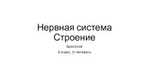 Презентация по биологии Нервная система. Строение (8 класс)