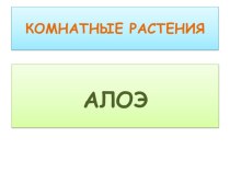 Комнатные растения. Окружающий мир. 1 класс. Школа России