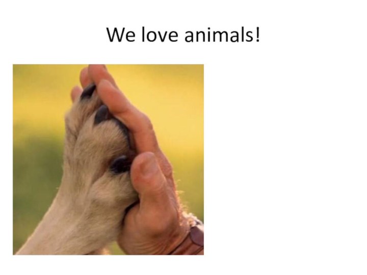 We love animals!