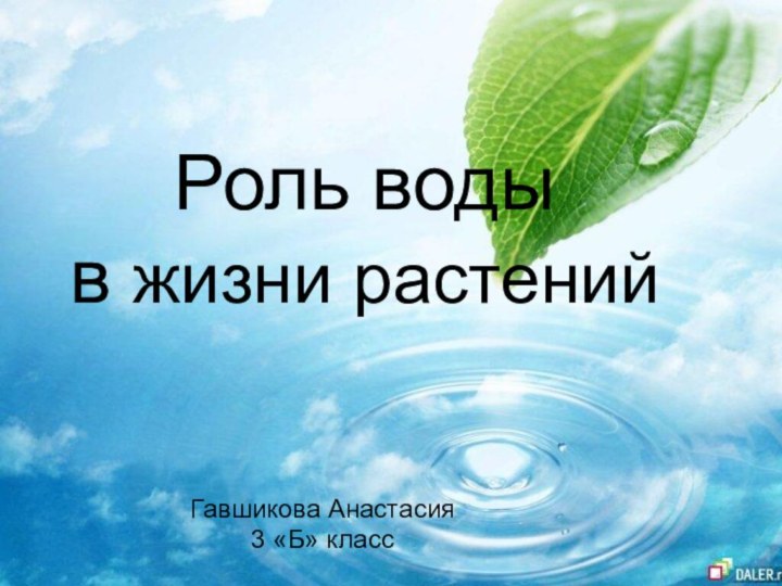 Роль воды  в жизни растенийГавшикова Анастасия 3 «Б» класс