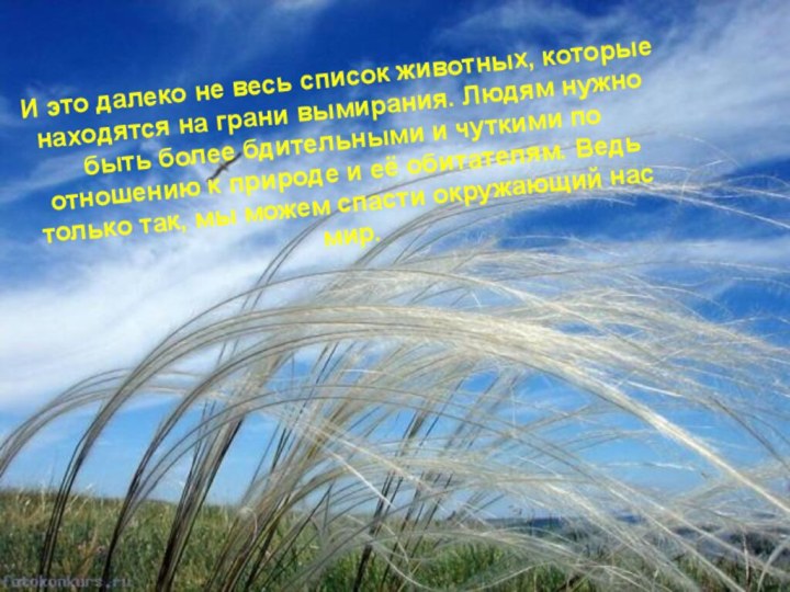 И это далеко не весь список животных, которые находятся на грани вымирания.