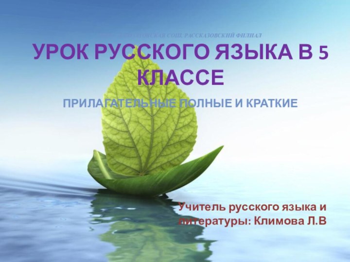 МБОУ ПЛАТОНОВСКАЯ СОШ, РАССКАЗОВСКИЙ ФИЛИАЛ УРОК РУССКОГО ЯЗЫКА В 5 КЛАССЕ