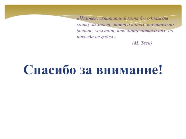 «Человек, схвативший хотя бы однажды кошку за хвост, знает о котах значительно