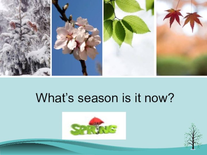 What’s season is it now?