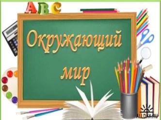 Презентация по окружающему миру по теме: Животные - обитатели луга