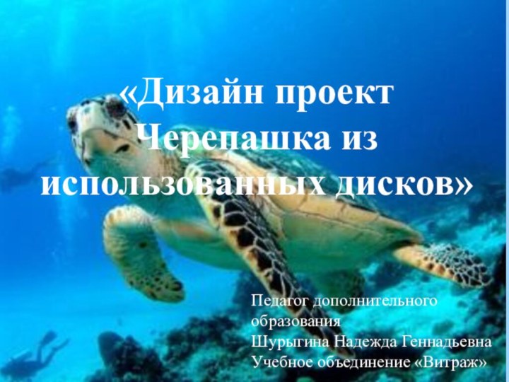 «Дизайн проект Черепашка из использованных дисков»Педагог дополнительного образованияШурыгина Надежда ГеннадьевнаУчебное объединение «Витраж»