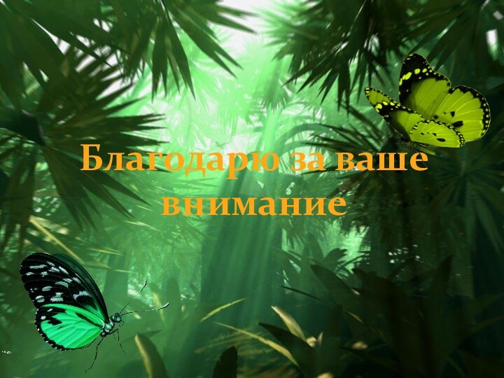 Благодарю за ваше внимание