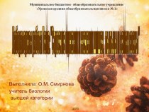 Лабораторная работа на тему: Строение мужских и женских шишек, пыльцы и семян сосны