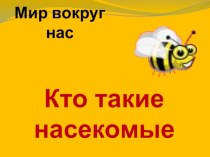 Презентация по окружающему миру на тему Кто такие насекомые