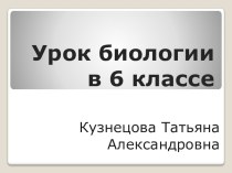 Презентация по биологии на тему Отдел Моховидные(5 класс)