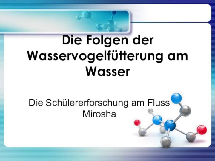 Die Folgen der Wasservоgelfütterung am WasserDie Schülererforschung am Fluss Mirosha