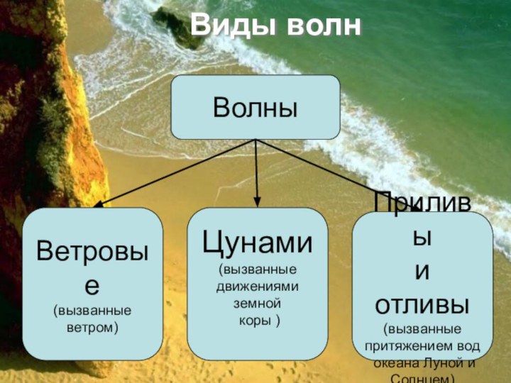 Виды волнВолныПриливы и отливы(вызванные притяжением вод океана Луной и Солнцем)Цунами(вызванные движениями земной коры )Ветровые(вызванные ветром)