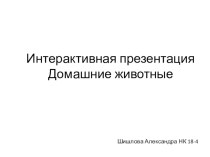 Интерактивная презентация для начальных классов