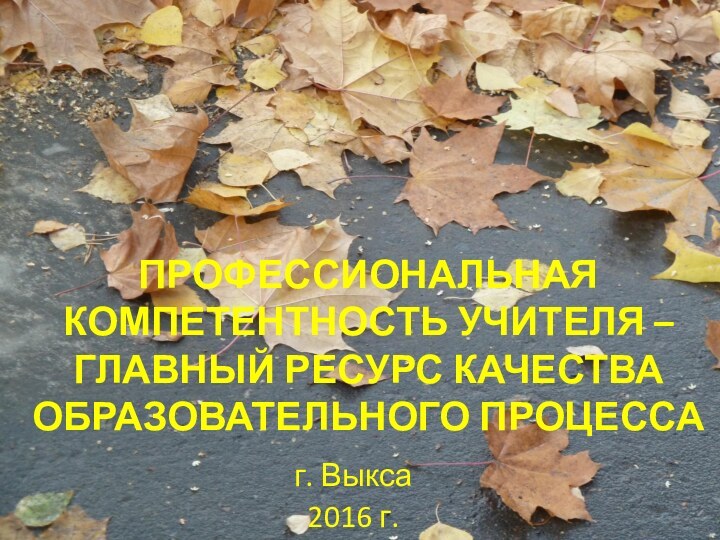 ПРОФЕССИОНАЛЬНАЯ КОМПЕТЕНТНОСТЬ УЧИТЕЛЯ – ГЛАВНЫЙ РЕСУРС КАЧЕСТВА ОБРАЗОВАТЕЛЬНОГО ПРОЦЕССА г. Выкса2016 г.