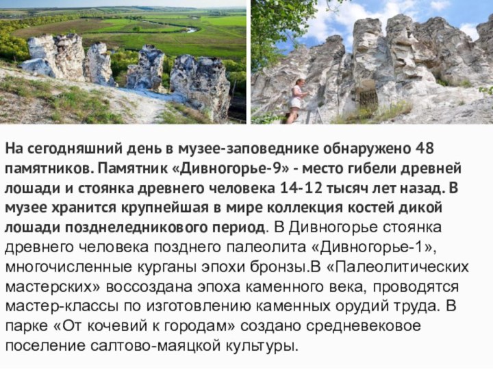 На сегодняшний день в музее-заповеднике обнаружено 48 памятников. Памятник «Дивногорье-9» - место