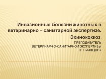 Инвазионные болезни животных, встречающиеся у человека, но не передающиеся ему через продукты убоя. Эхинококкоз.