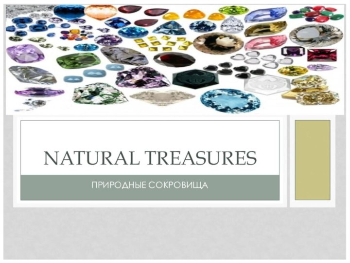 ПРИРОДНЫЕ СОКРОВИЩАNATURAL TREASURES