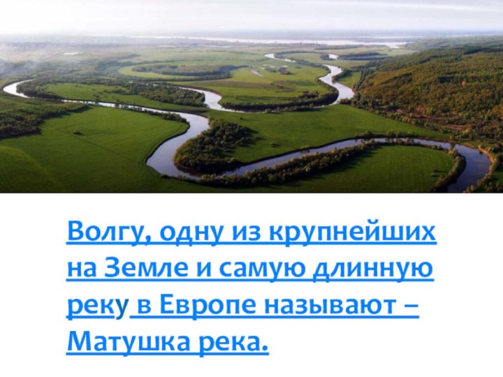 Волгу, одну из крупнейших на Земле и самую длинную реку в Европе называют – Матушка река. 