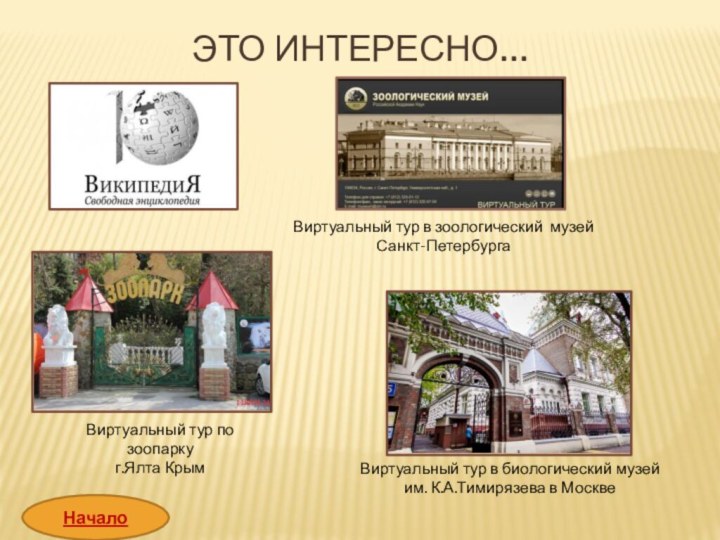 Это интересно…Виртуальный тур по зоопарку г.Ялта Крым Виртуальный тур в зоологический музейСанкт-Петербурга