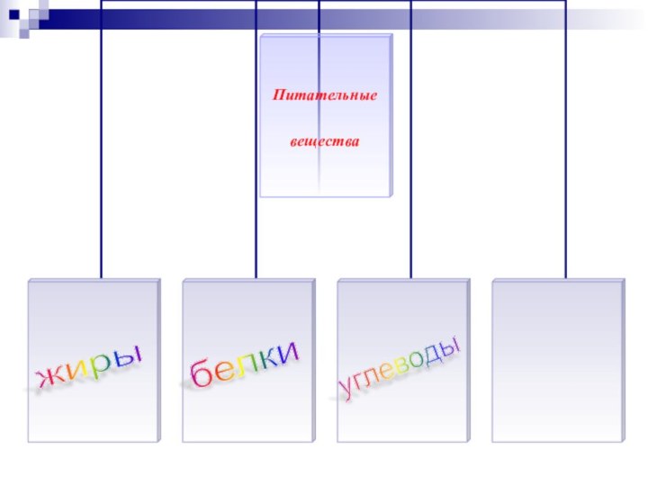углеводы белки жиры