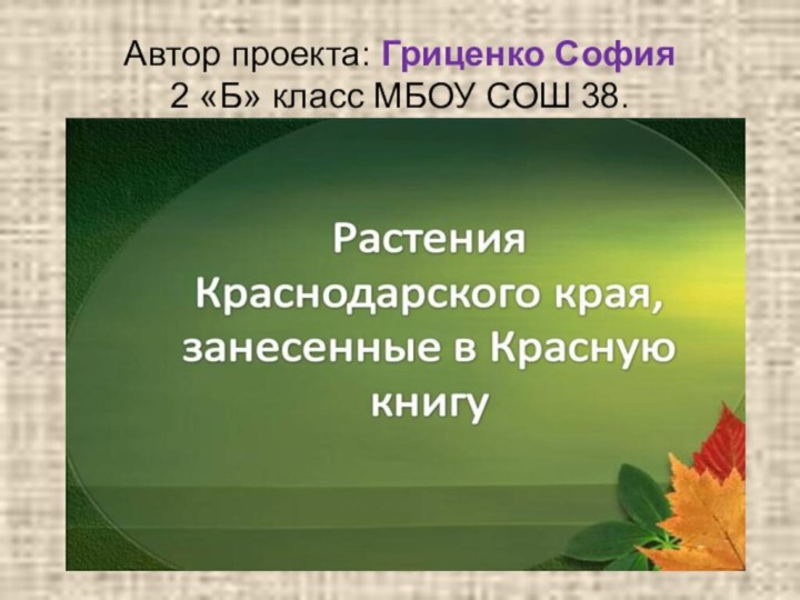 Автор проекта: Гриценко София  2 «Б» класс МБОУ СОШ 38.