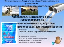 Индивидуальный проект по географии по теме: Транспортировка молока и молочных продуктов (10 класс)